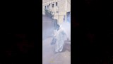 غزو الناموس (2)