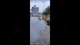 غزو الناموس (3)