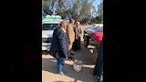 قمح (3)