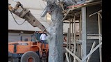 إزالة تعديات البناء المخالف (8)