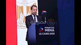 منتدى أعمال لدول الشرق الأوسط وشمال أفريقيا  (11)