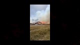 الصور الأولى لحريق شونة كتان بالغربية  (8)