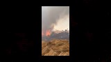 الصور الأولى لحريق شونة كتان بالغربية  (1)