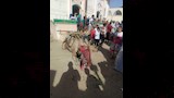 توافد المواطنين على ساحة الشيخ عبدالفتاح فى المنيا 