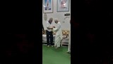 السائح بعد إسلامه (6)