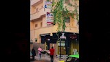 انقاذ قطة (1)