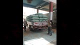 موسم توريد القمح في المنيا