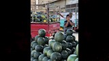 مزاد البطيخ في موسمه بالإسماعيلية (5)