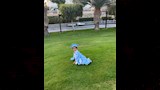 نجل شيكابالا