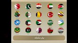 20 دولة عربية وإسلامية يدينون الهجمات الإسرائيلية 
