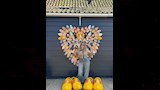 ليلى علوي تزور قرية زانش شانس في هولندا 