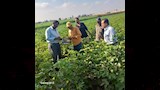 مكافحة الآفات تنهي أعمال حملة مكافحة القوارض وتواصل متابعة الآفات الأخرى  (2)