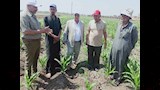 مكافحة الآفات تنهي أعمال حملة مكافحة القوارض وتواصل متابعة الآفات الأخرى  (7)