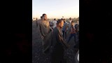 حادث تصادم سيارتين (2)