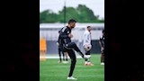 محمود تريزيجيه (1)
