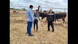 الزراعة تنفذ 2000 نشاط إرشادي لدعم أكثر من 51 ألف مزارع (1)