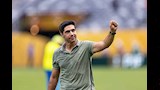 أبل فيريرا مدرب بالميراس (3)