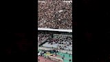 حادث جماهير مولودية الجزائر