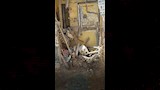 انهيار منزل في الإسكندرية (3)_3