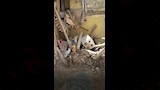 انهيار منزل في الإسكندرية (5)_5