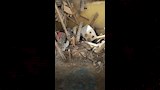 انهيار منزل في الإسكندرية (6)_6