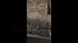 انهيار منزل في الإسكندرية (2)_2