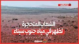 الشعاب المتحجرة تظهر في مياه جنوب سيناء بسبب الجذر