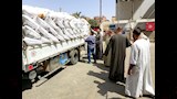 توريد القمح (4)