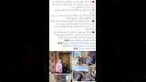 حي الضواحي في بورسعيد يتحفظ على حمارين 