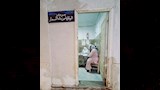  كلب يقتحم المنازل والمحلات