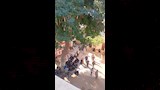 حادث الطريق الإقليمي بالمنوفية