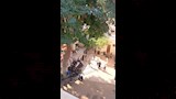 حادث الطريق الإقليمي بالمنوفية