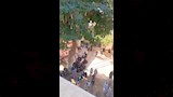تشييع جثامين صبايا العنب ضحايا حادث المنوفية 