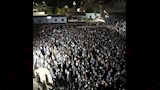 ضحايا حادث المنوفية 