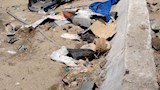 حادث الطريق الإقليمي
