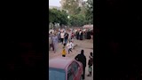 جنازة ضحايا الطريق الإقليمي بالمنوفية 