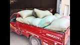 توريد القمح (3)