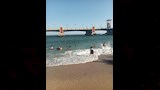 توافد العائلات على شواطئ الإسكندرية (8)_9