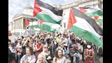 حركة فلسطين أكشن