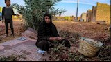حكاية قرية لا تسكنها سوى النساء في أسوان (1)
