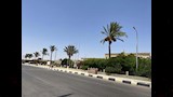 نشاط الرياح