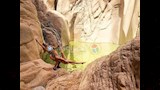 بجوار لبحيرات الجبيلة