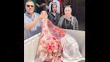 ضبط لحوم مذبوحة خارج السلخانة