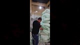حملات تموينية مكثفة بالإسكندرية في أول أيام عيد الأضحى (10)