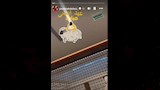 ياسمين عبدالعزيز وصلاة العيد