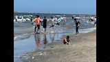 شواطئ بورسعيد (6)