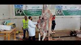 ذبح 870 رأس ماشية مجانًا خلال أول يومين من عيد الأضحى في المنيا (7)