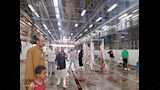 الاضاحي (3)