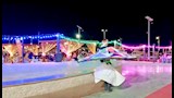 الفقرات الفنية