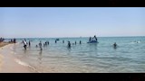 شواطئ السخنة